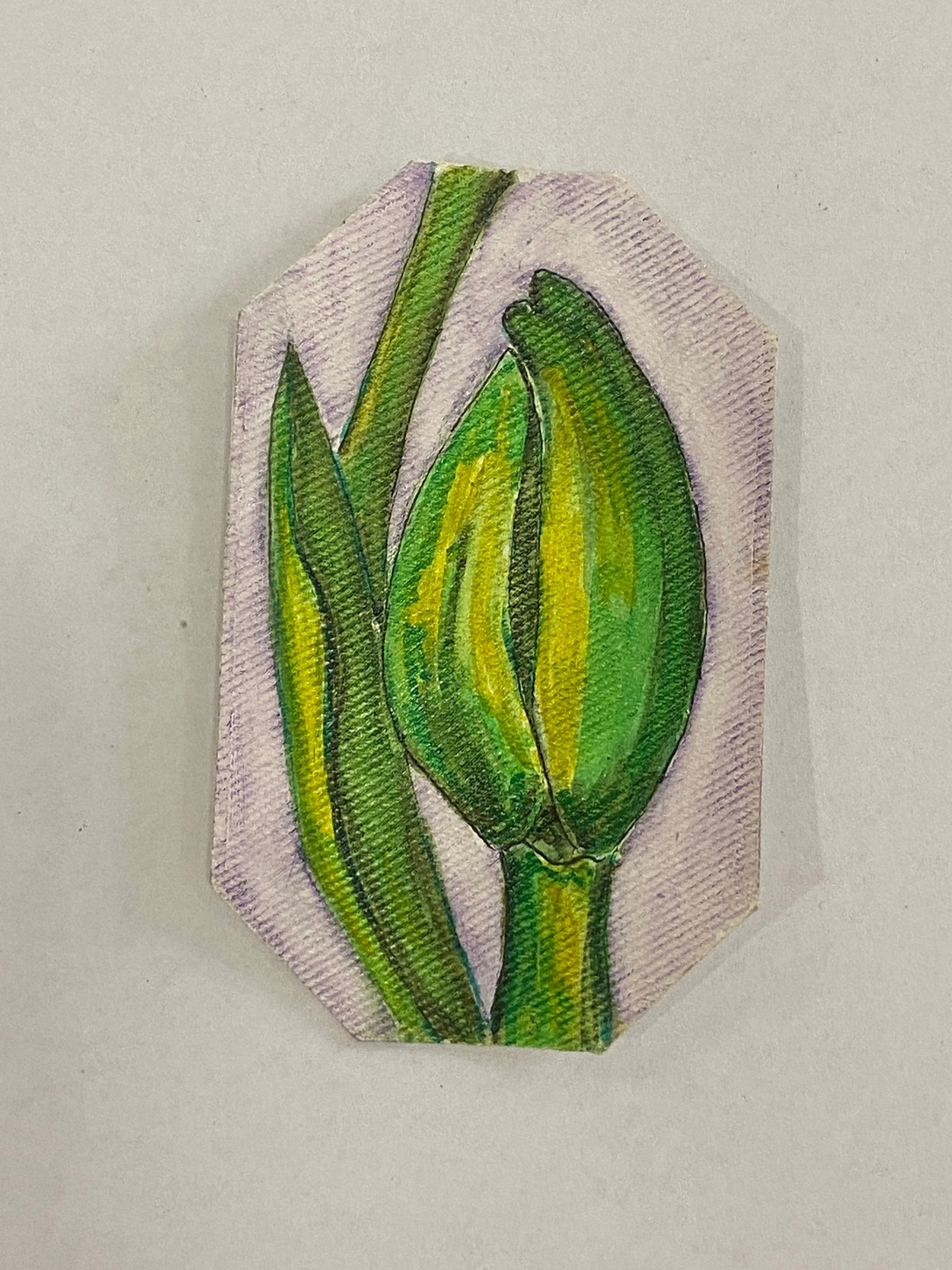 IL VERDE