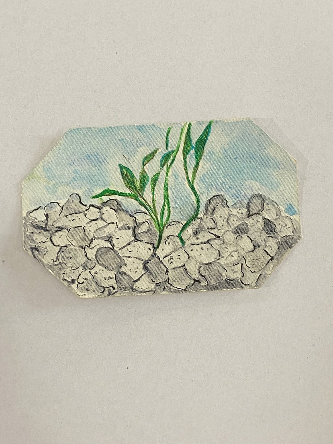 IL VERDE