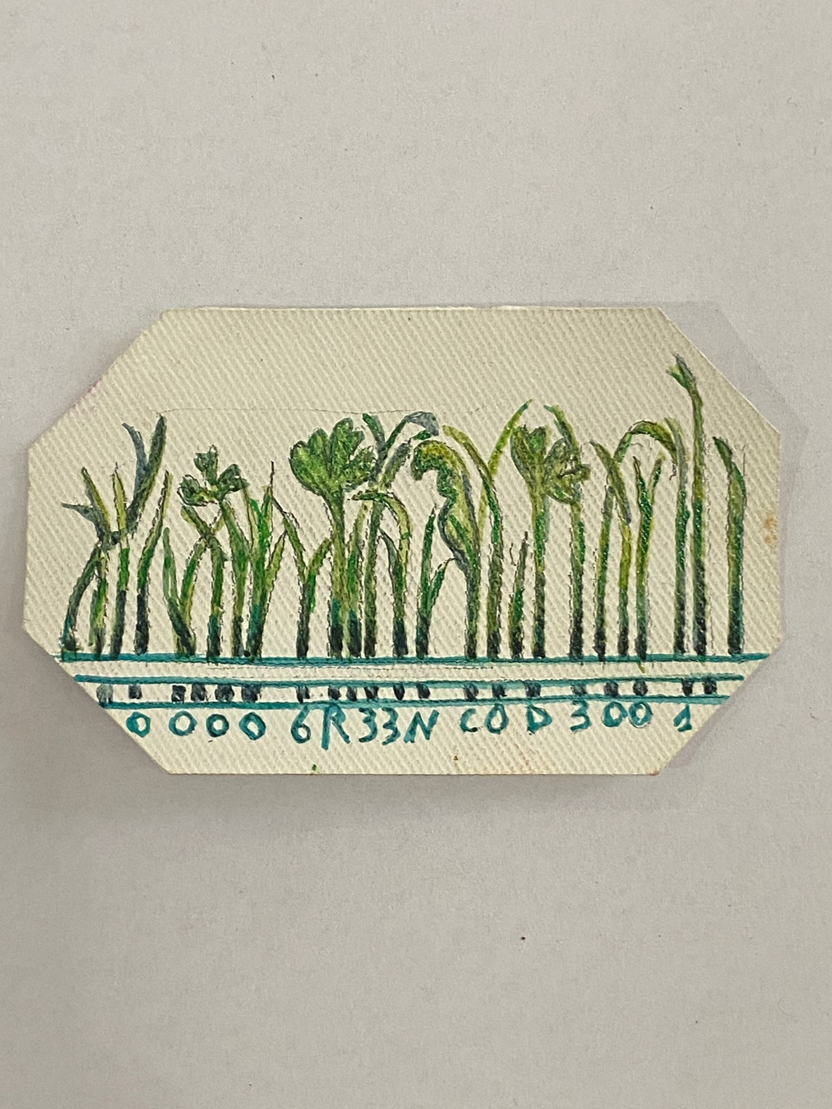 IL VERDE