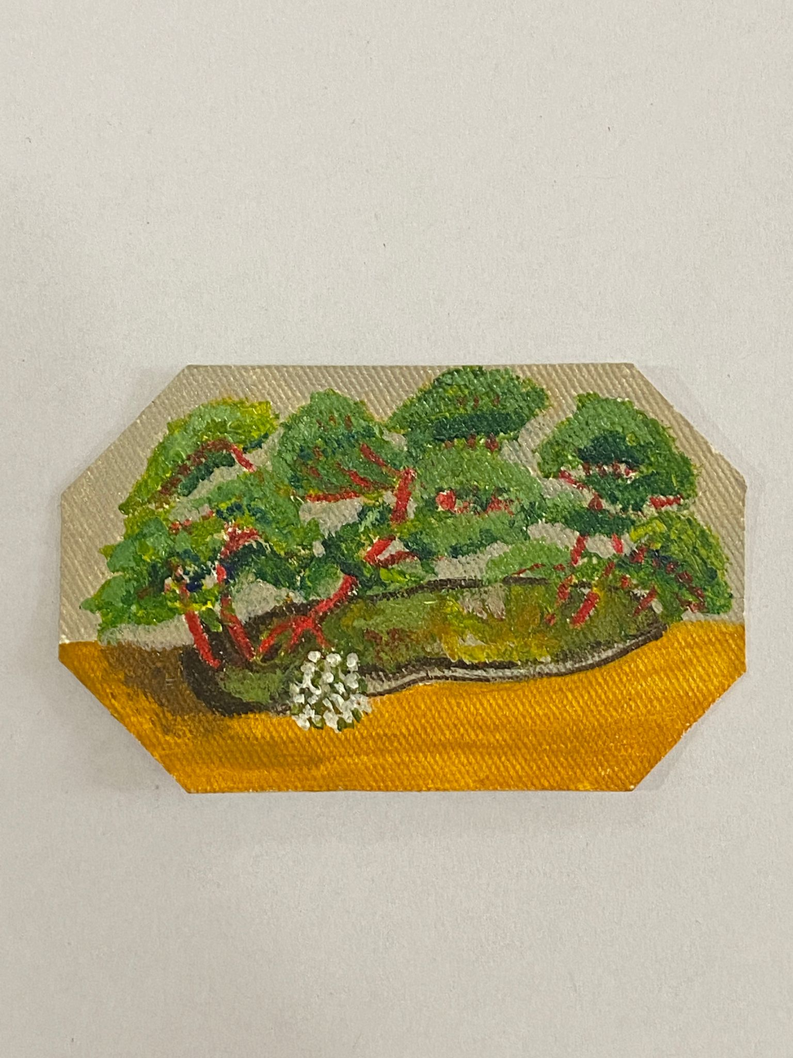 IL VERDE