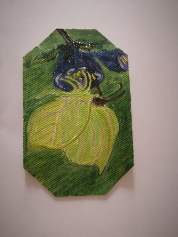 IL VERDE