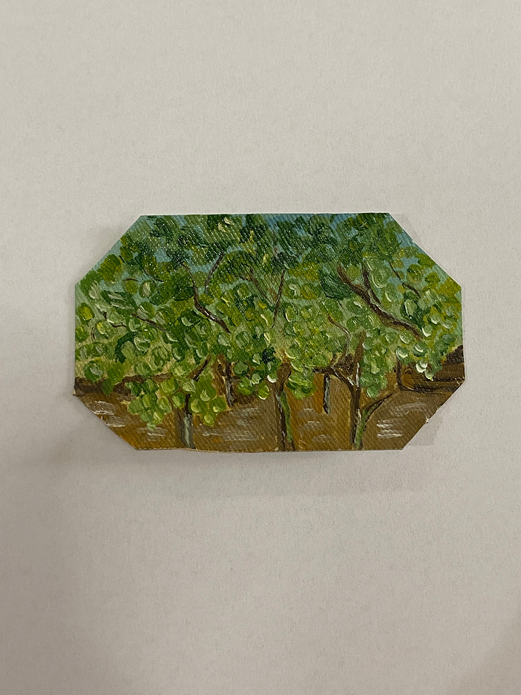 IL VERDE
