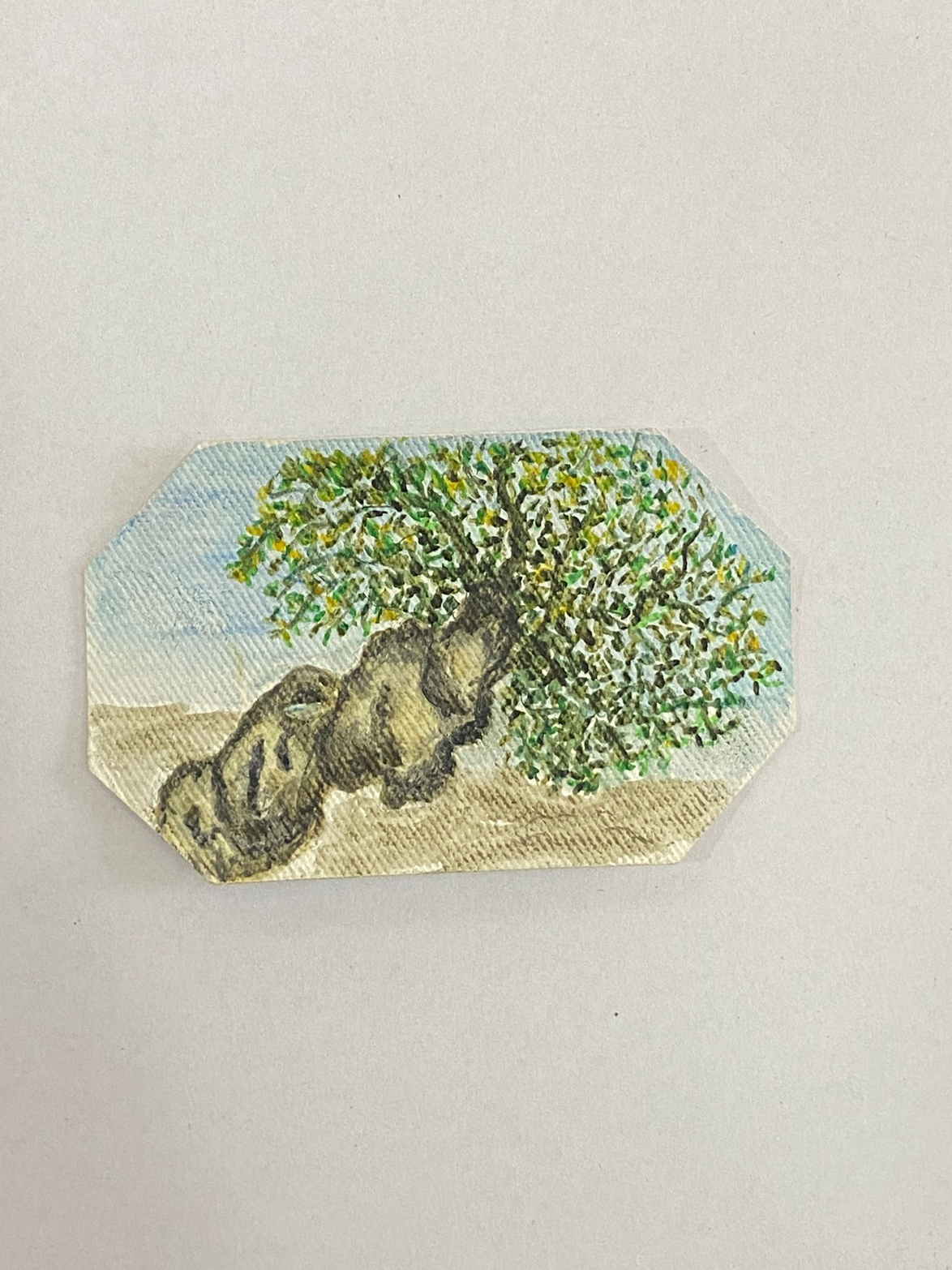 I COLORI DELLA PUGLIA