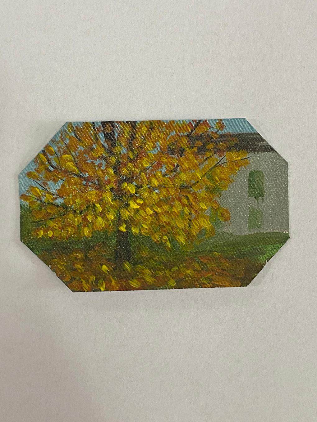 I COLORI DEL VENETO