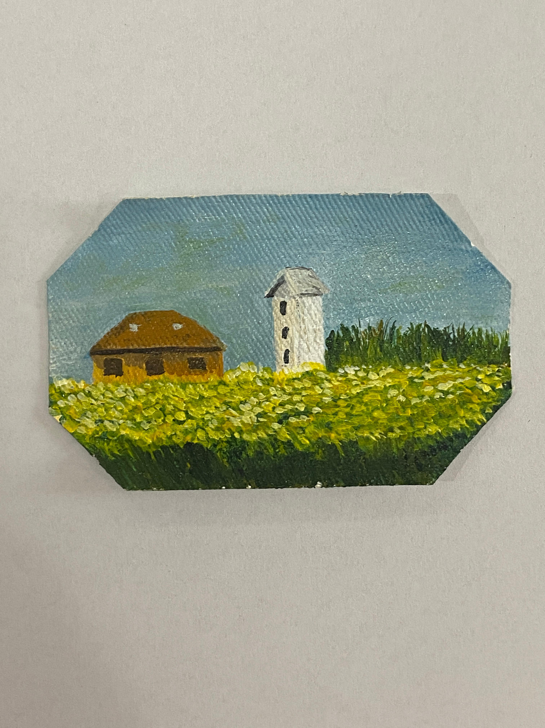 I COLORI DEL VENETO