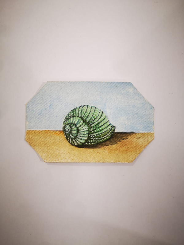 IL VERDE