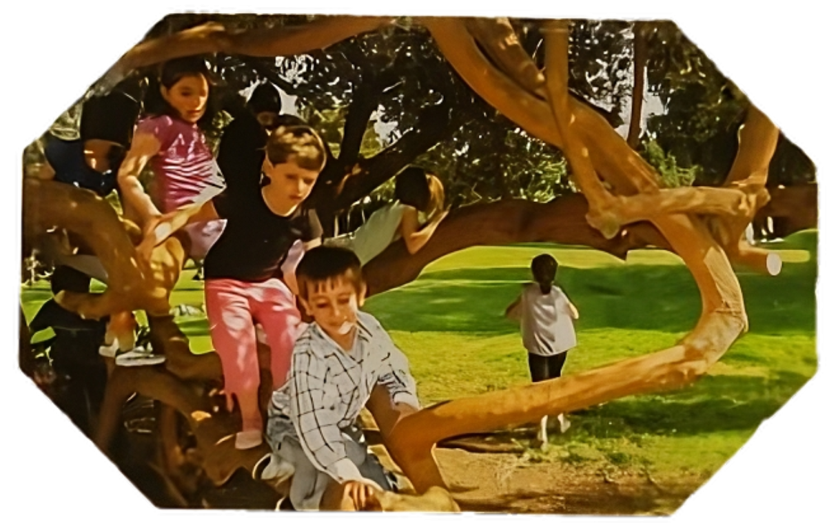 Connettiamoci alla Natura
