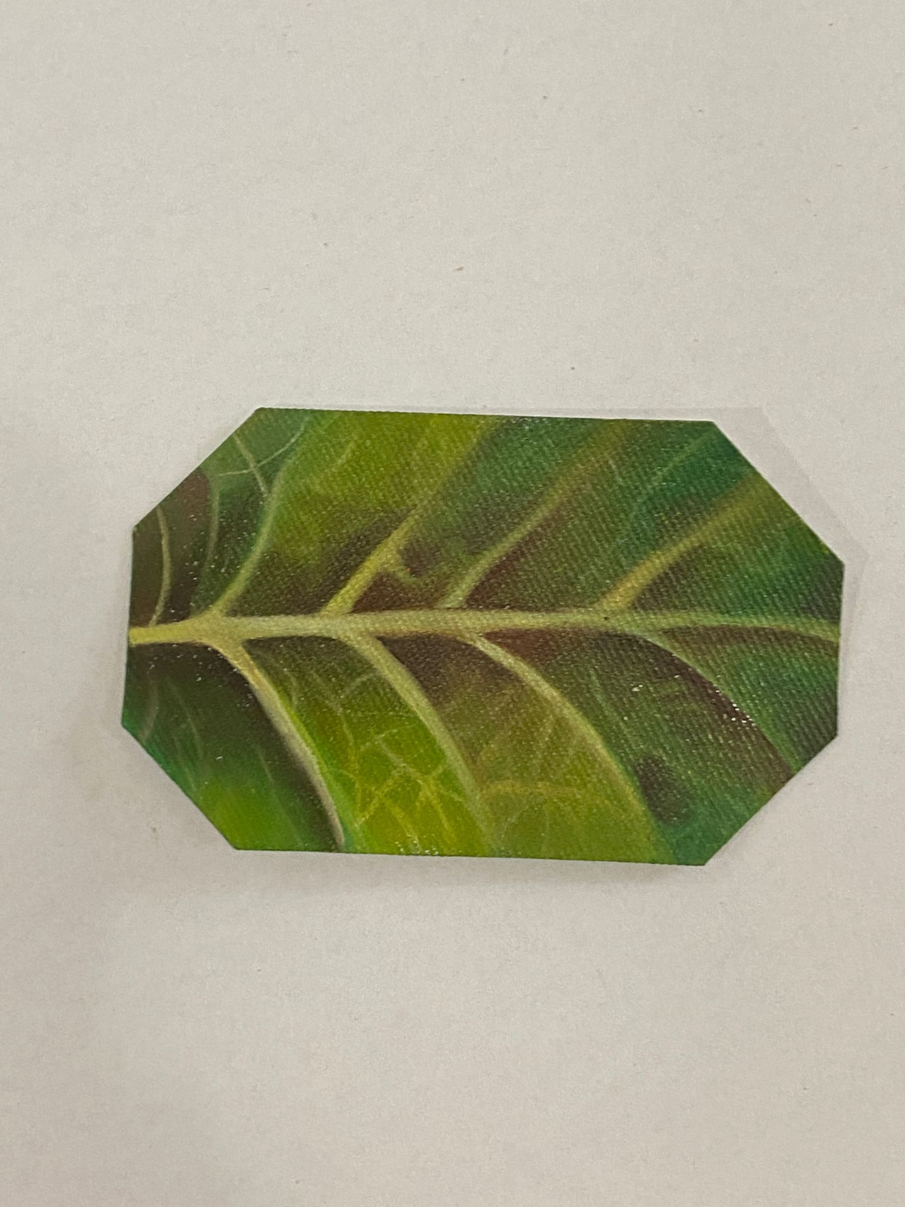 IL VERDE